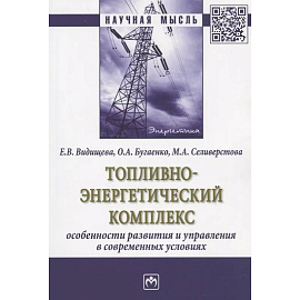 Топливно-энергетический комплекс:особенности развития и управления в современных условиях: Монография
