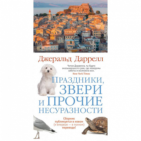 Фото Праздники,звери и прочие несуразности