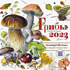 2023 Календарь Грибы