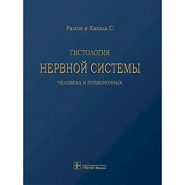 Гистология нервной системы человека и позвоночных
