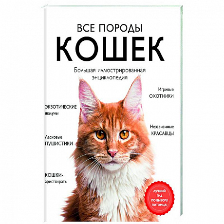 Фото Все породы кошек. Большая иллюстрированная энциклопедия