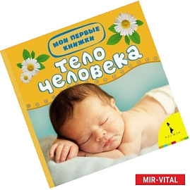 Тело человека