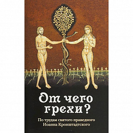 От чего грехи? По трудам святого праведного Иоанна Кронштадского