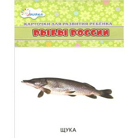 Рыбы России (набор из 12 карточек)