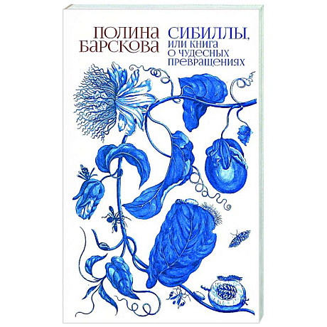 Фото Сибиллы, или Книга о чудесных превращениях