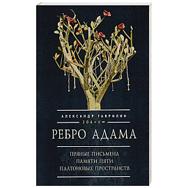 Ребро Адама. Пряные письмена памяти пяти Платоновых пространств