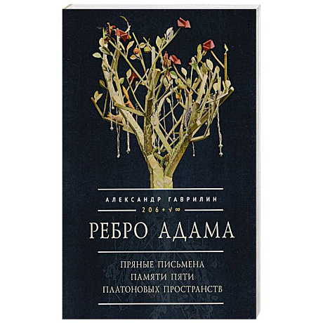 Фото Ребро Адама. Пряные письмена памяти пяти Платоновых пространств