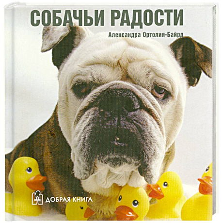 Фото Собачьи радости