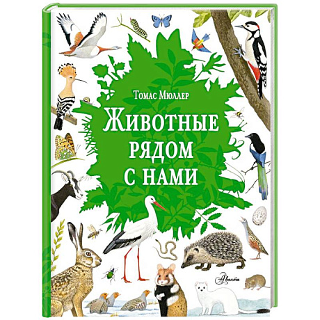 Фото Животные рядом с нами
