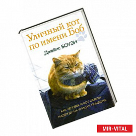 Уличный кот по имени Боб. Как человек и кот обрели надежду на улицах Лондона