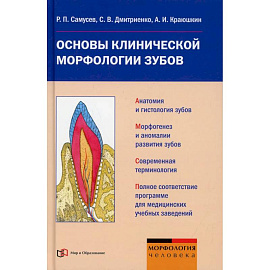 Основы клинической морфологии зубов: Учебное пособие