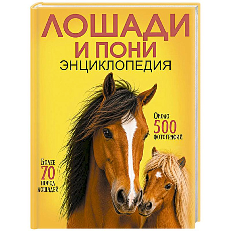 Фото Лошади и пони
