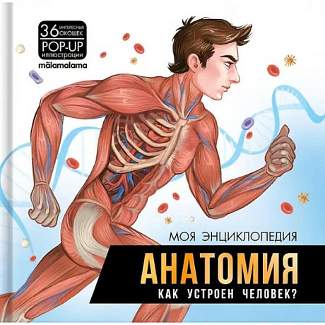 Фото Анатомия. Как устроен человек? книжка-панорамка