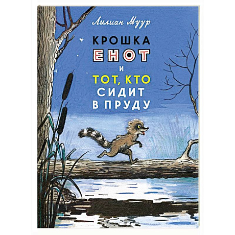 Фото Крошка Енот и тот,кто сидит в пруду