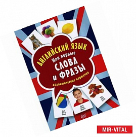Английский язык. Мои первые слова и фразы. Дидактические карточки 60 шт.