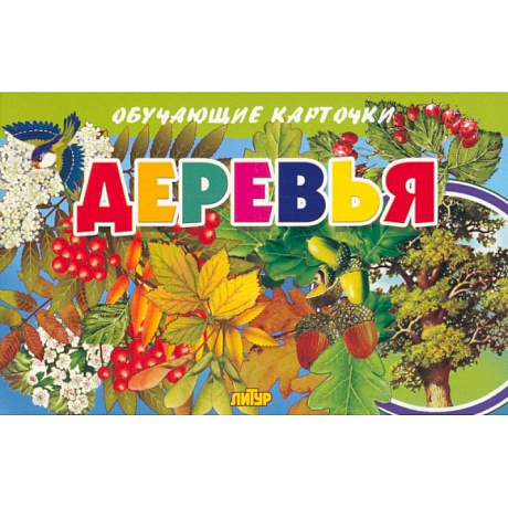 Фото Карточки. Деревья