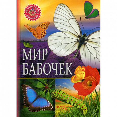Фото Мир бабочек