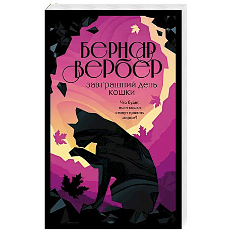 Фото Завтрашний день кошки