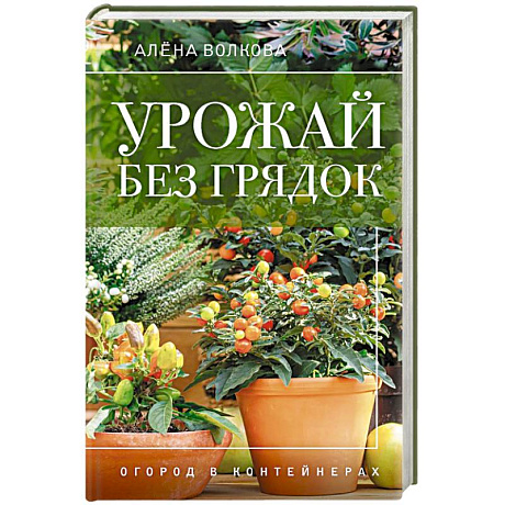 Фото Урожай без грядок. Огород в контейнерах