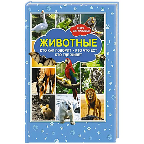 Фото Животные. Кто как говорит? Кто что ест? Кто где живет? Книга для малышей