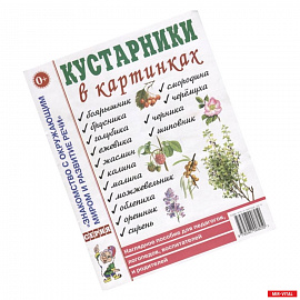 Кустарники в картинках. Наглядное пособие для педагогов, логопедов, воспитателей и родителей