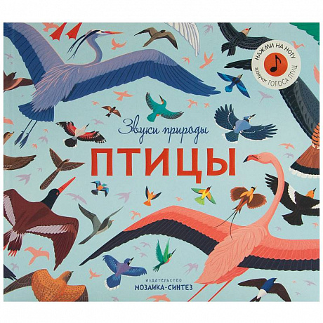 Фото Звуки природы.Птицы