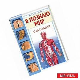 Энциклопедия .Я познаю мир:Анатомия
