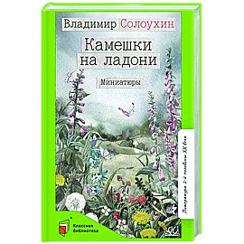 Камешки на ладони. Миниатюры