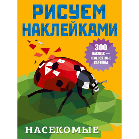 Фото Насекомые