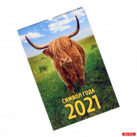 Календарь на 2021 год на спирали