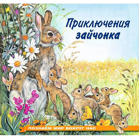 Фото Приключения зайчонка