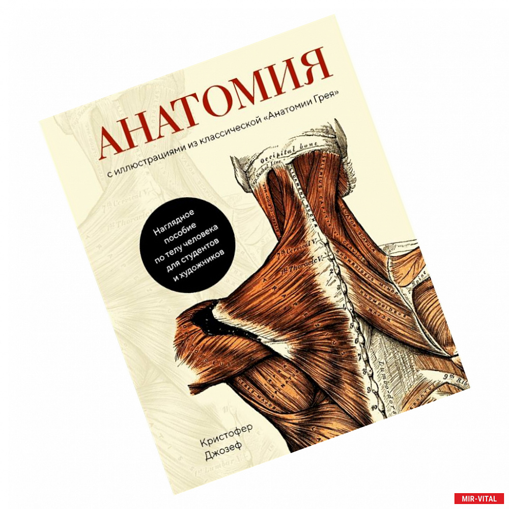 Фото Анатомия:с иллюстрациями из классической 'Анатомии Грея'