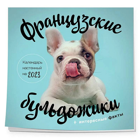 Фото Французские бульдожики. Календарь настенный на 2023 год