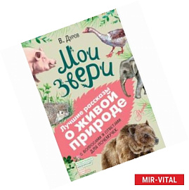 Мои звери