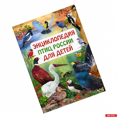 Фото Энциклопедия птиц России для детей