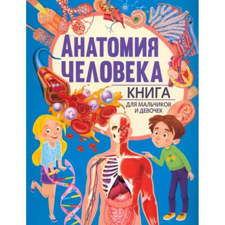 Фото Анатомия человека. Книга для мальчиков и девочек