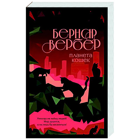 Фото Планета кошек