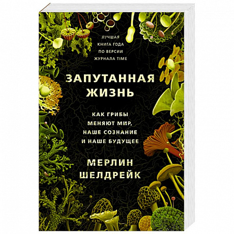 Фото Запутанная жизнь. Как грибы меняют мир, наше сознание и наше будущее