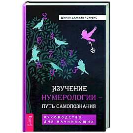 Изучение нумерологии — путь самопознания. Руководство для начинающих