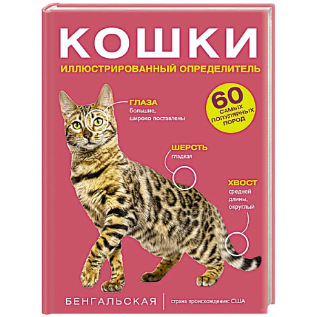 Фото Кошки. 60 самых популярных пород. Иллюстрированный определитель