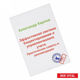 Эффективная система бюджетирования и управленческого учета. Практические советы и рекомендации