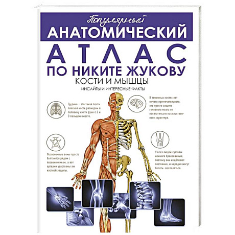 Фото Популярный анатомический атлас по Никите Жукову: кости и мышцы. Инсайты и интересные факты