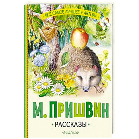 Фото Рассказы