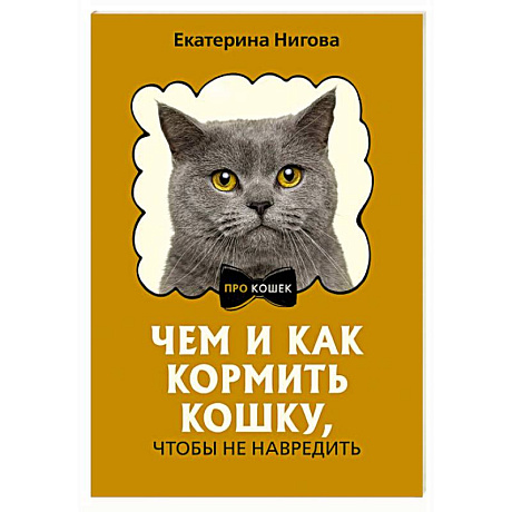 Фото Чем и как кормить кошку, чтобы не навредить
