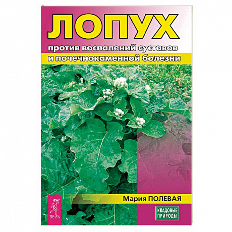 Фото Лопух против воспалений суставов и почечнокаменной болезни