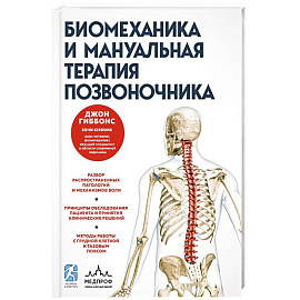 Биомеханика и мануальная терапия позвоночника