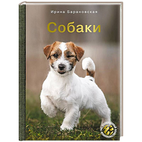 Фото Собаки