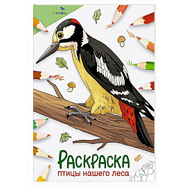 Окружающий мир. Раскраска. Птицы нашего леса
