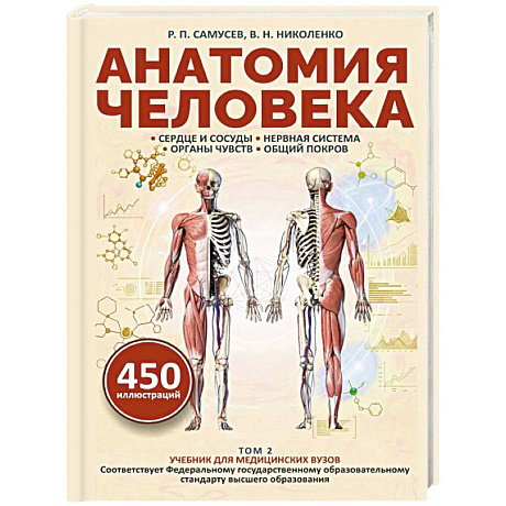 Фото Анатомия человека. Сердце и сосуды, нервная система, органы чувств, общий покров