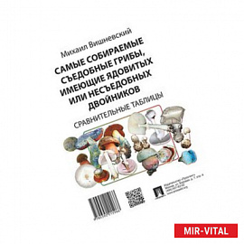 Самые собираемые съедобные грибы, имеющие ядовитых двойников. Сравнительные таблицы